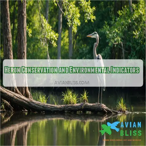 Heron Conservation and Environmental Indicators