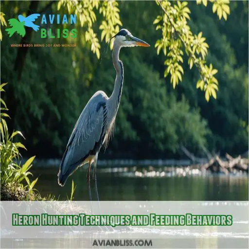 Heron Hunting Techniques and Feeding Behaviors