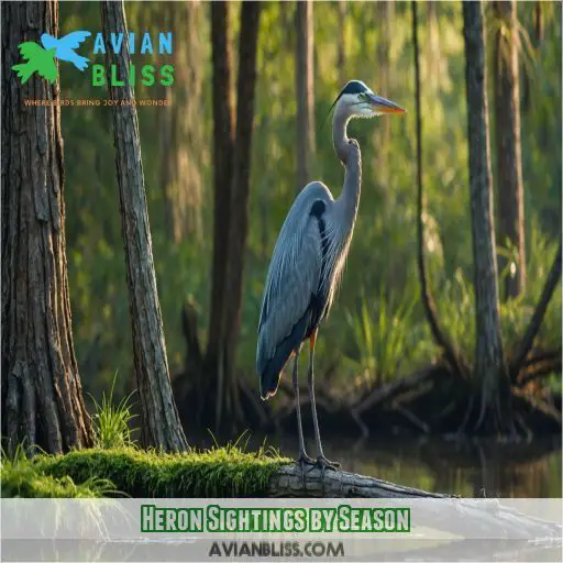 Heron Sightings by Season