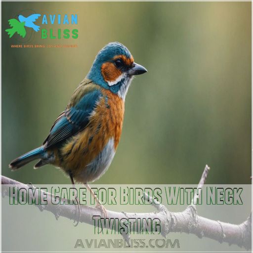 Home Care for Birds With Neck Twisting