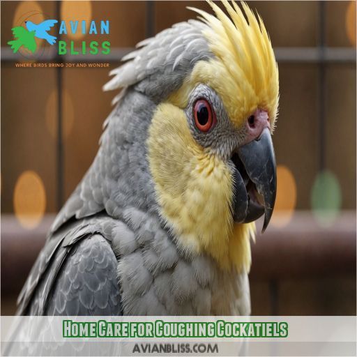 Home Care for Coughing Cockatiels