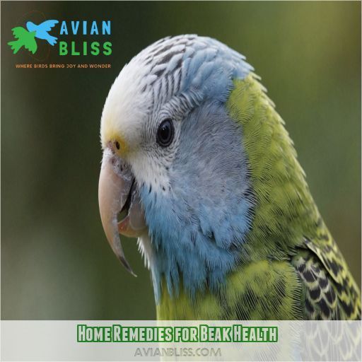 Home Remedies for Beak Health