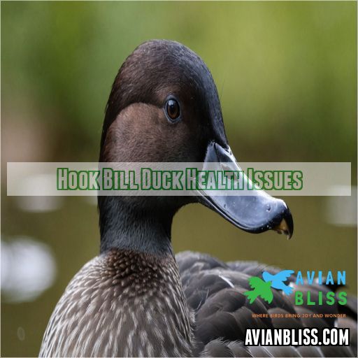 Hook Bill Duck Health Issues