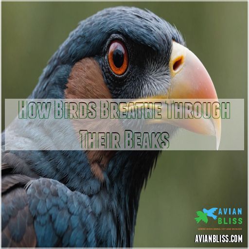 How Does Birds Breathe? Uncover Their Unique Lungs and Airflow