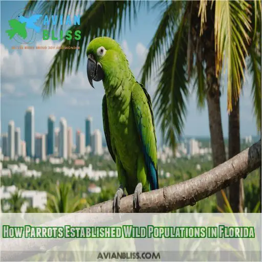 How Parrots Established Wild Populations in Florida