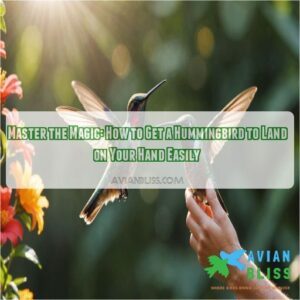 how to get a hummingbird to land on your hand