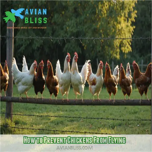 How to Prevent Chickens From Flying