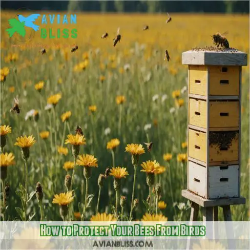 How to Protect Your Bees From Birds