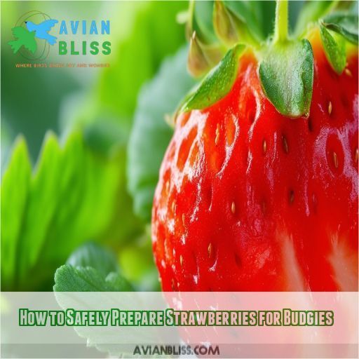 How to Safely Prepare Strawberries for Budgies