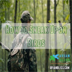 How to Sneak Up on Birds