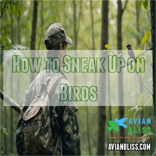 how to sneak up on birds