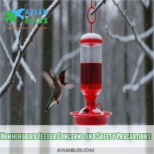 Hummingbird Feeder Concerns and Safety Precautions