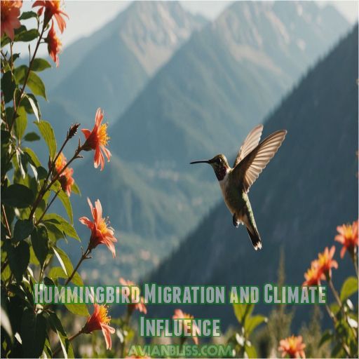 Hummingbird Migration and Climate Influence