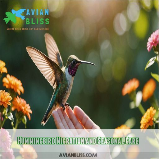 Hummingbird Migration and Seasonal Care