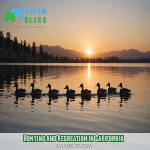 Hunting and Recreation in California