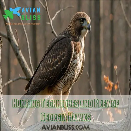 Hunting Techniques and Prey of Georgia Hawks