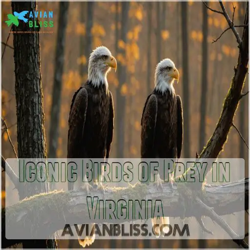 Iconic Birds of Prey in Virginia