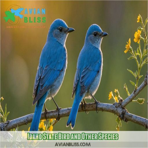 Idaho State Bird and Other Species