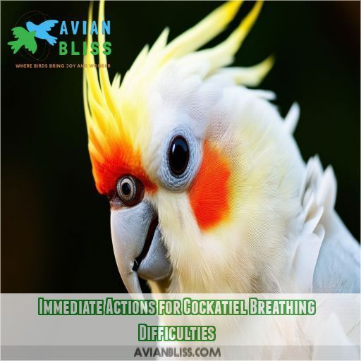 Immediate Actions for Cockatiel Breathing Difficulties