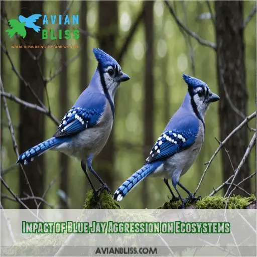 Impact of Blue Jay Aggression on Ecosystems