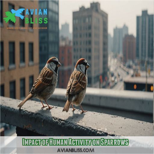 Impact of Human Activity on Sparrows