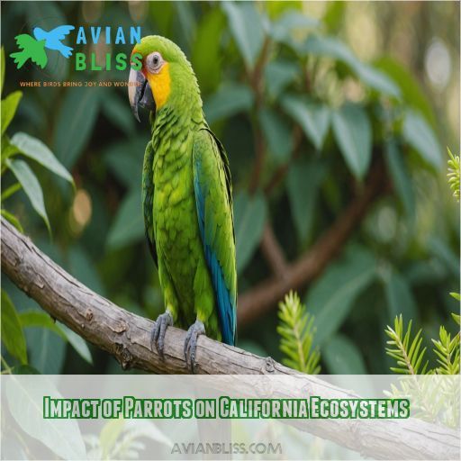 Impact of Parrots on California Ecosystems