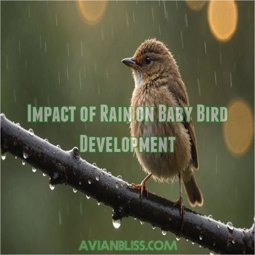 Impact of Rain on Baby Bird Development