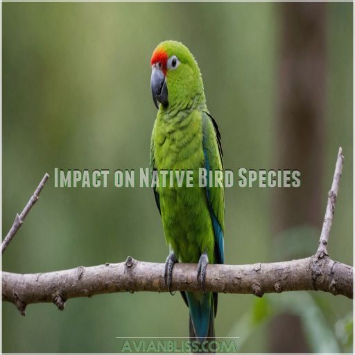 Impact on Native Bird Species