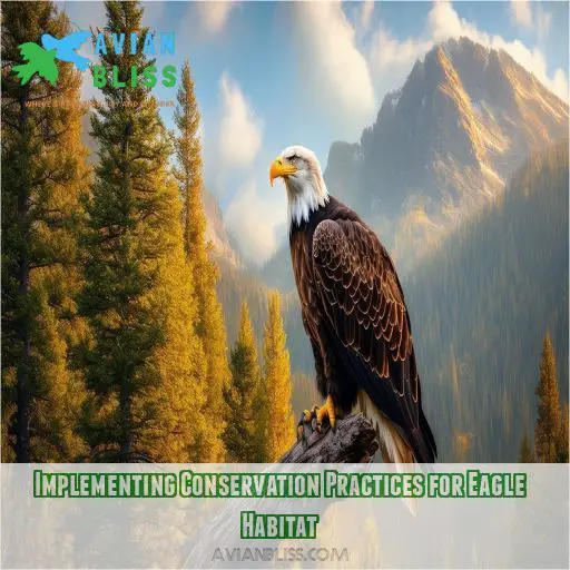 Implementing Conservation Practices for Eagle Habitat