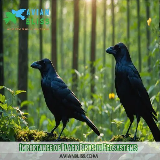 Importance of Black Birds in Ecosystems