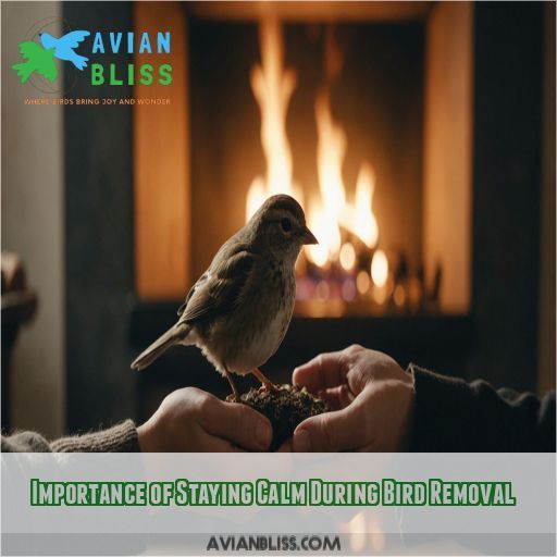 Importance of Staying Calm During Bird Removal