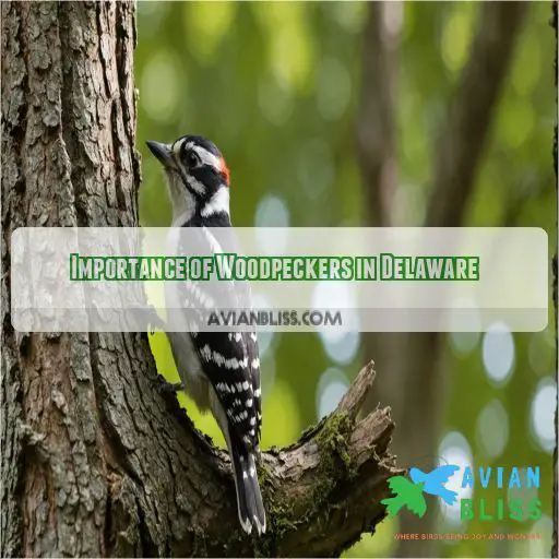 Importance of Woodpeckers in Delaware