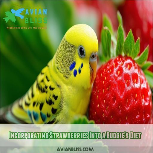 Incorporating Strawberries Into a Budgie