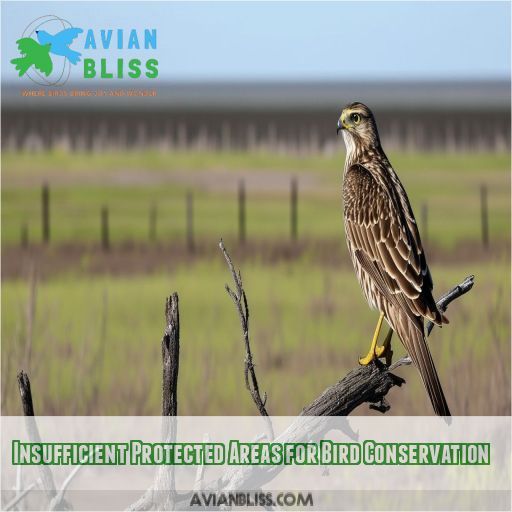 Insufficient Protected Areas for Bird Conservation