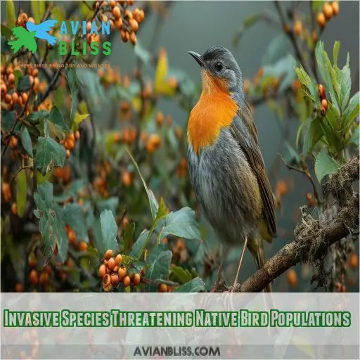 Invasive Species Threatening Native Bird Populations