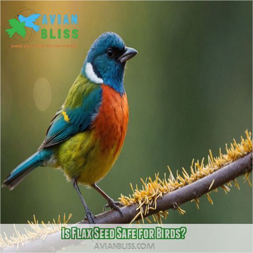 Is Flax Seed Safe for Birds