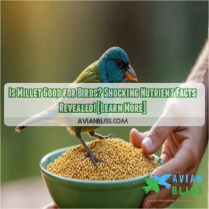 is millet good for birds learn the nutrient content more