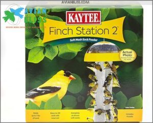 Kaytee Wild Bird Finch Station