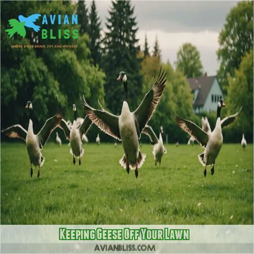 Keeping Geese Off Your Lawn