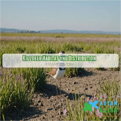 Killdeer Habitat and Distribution