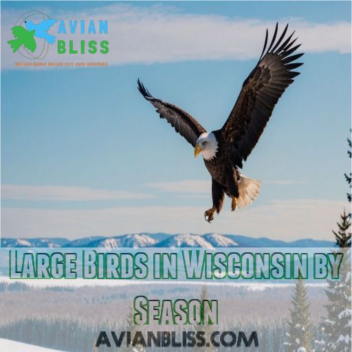 Large Birds in Wisconsin by Season