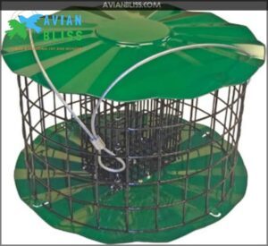 Large Squirrel Proof Bird Feeder