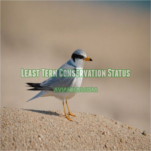 Least Tern Conservation Status