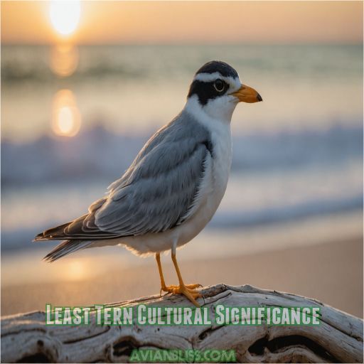 Least Tern Cultural Significance