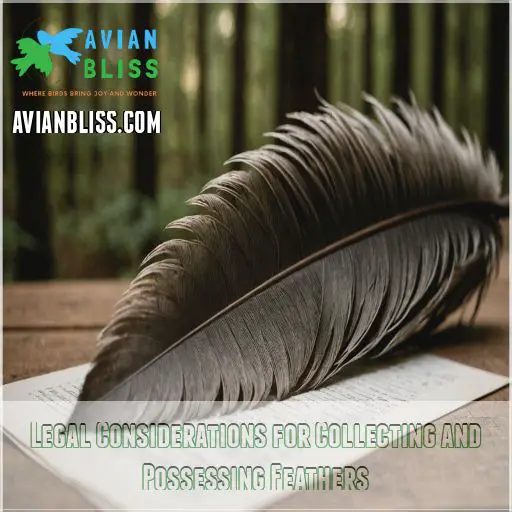 Legal Considerations for Collecting and Possessing Feathers