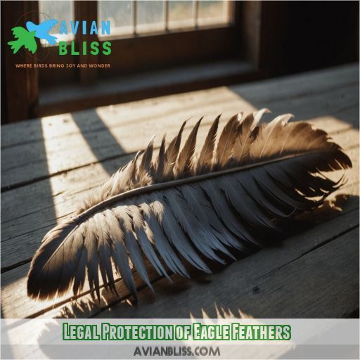 Legal Protection of Eagle Feathers