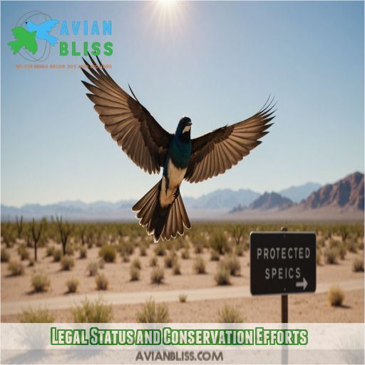 Legal Status and Conservation Efforts