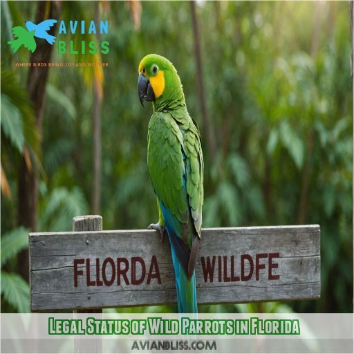 Legal Status of Wild Parrots in Florida