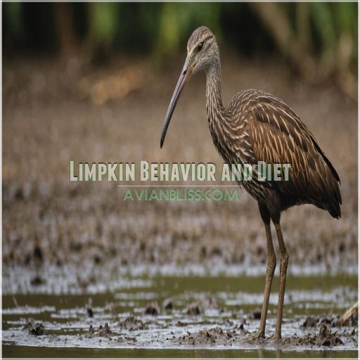 Limpkin Behavior and Diet