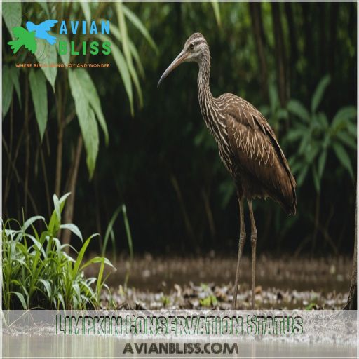 Limpkin Conservation Status